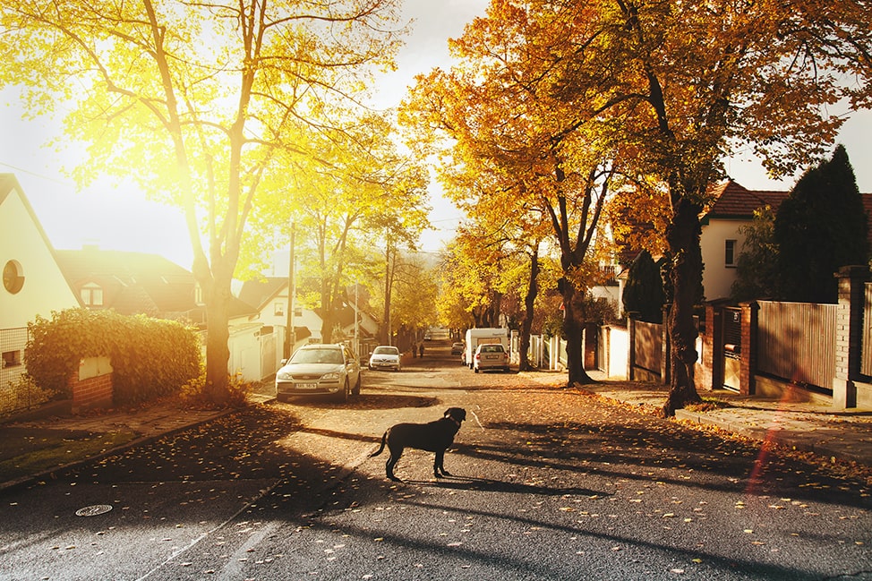 The Next Door Millionaire, or How to Grow Rich Gracefully